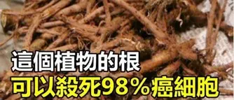 好用到哭了!這些家居器居然只要用一個「寶特瓶」...後悔知道晚了!快告訴媽媽!