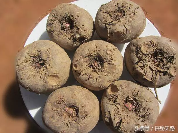 脂肪肝最怕的3種食物,每斤不到5塊錢,天天換著吃,遠離脂肪肝