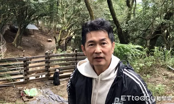 披著羊毛的豬!台灣引進「匈牙利國寶豬」外型萌翻眾人 售價竟是「普通豬的6倍」連毛都可以賣