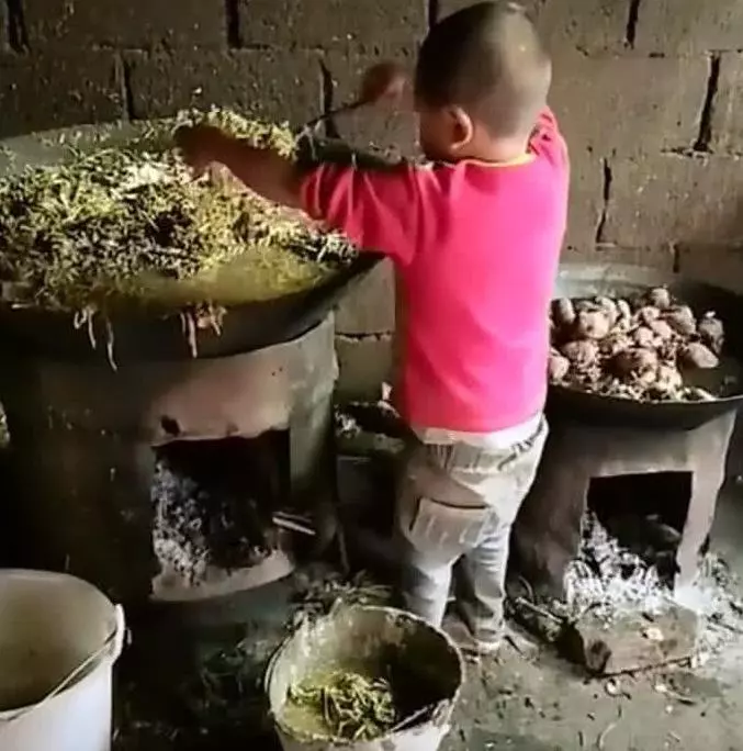 9歲男孩每天上學遲到,老師批評幾次沒用,家訪看到場景淚奔