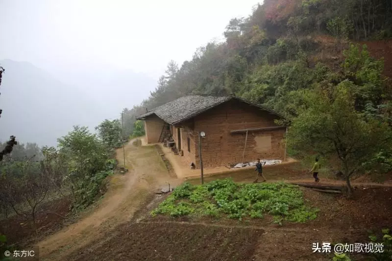 夫妻倆隱居深山無鄰居,靠山吃山飲山泉吃野菜,年入45萬不寂寞!