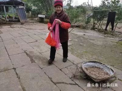 婆婆去世,7歲孫女非睡遺體旁,兒媳起疑躲床下,天亮後含淚報警