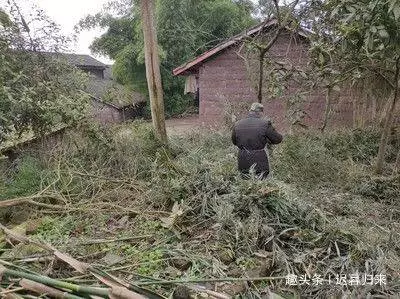 婆婆去世,7歲孫女非睡遺體旁,兒媳起疑躲床下,天亮後含淚報警