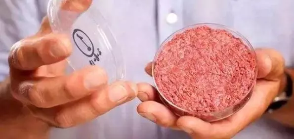 像素壽司、人造肉……你吃過哪些黑科技打造的食物?