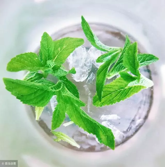 用這11種食材泡水,身體越喝越好,排毒養顏身體好!