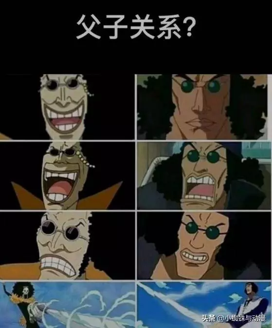 海賊王:發現了一個不得了的伏筆,布魯克是青雉的老爸?!