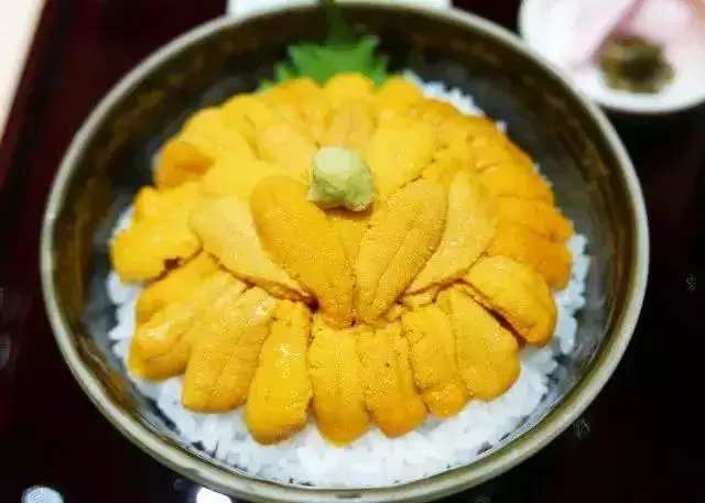 去「海鮮王國」的北海道哪裡吃海鮮?看了這個就有方向了