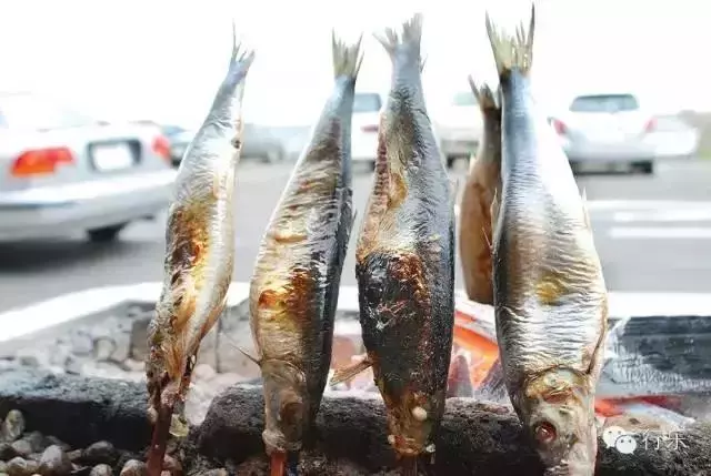 去「海鮮王國」的北海道哪裡吃海鮮?看了這個就有方向了