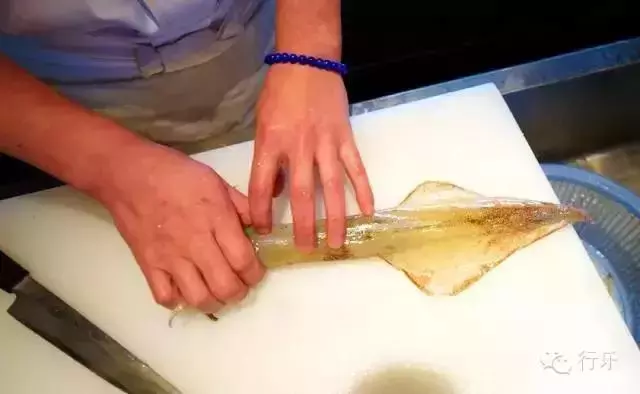 去「海鮮王國」的北海道哪裡吃海鮮?看了這個就有方向了