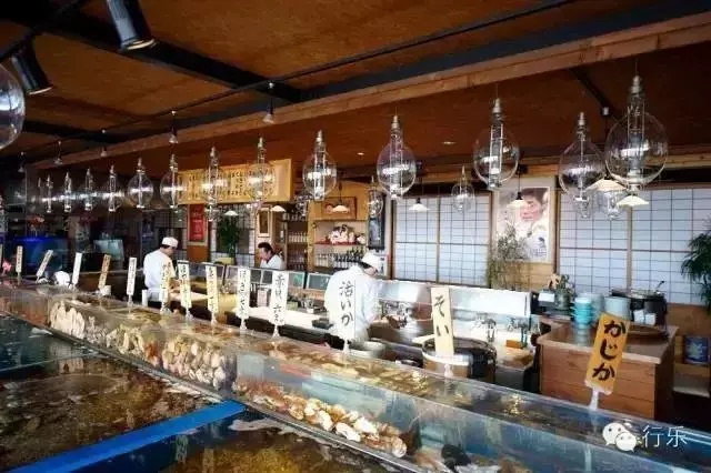去「海鮮王國」的北海道哪裡吃海鮮?看了這個就有方向了