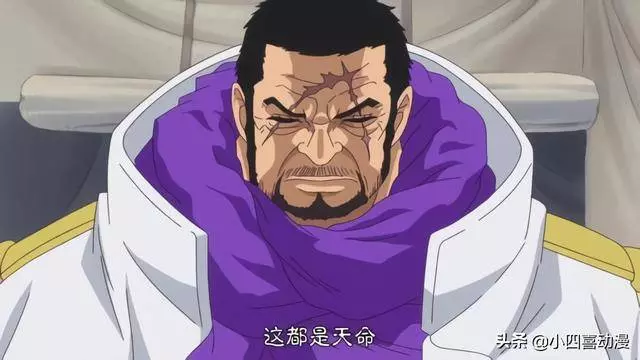 嚴格意義上和青雉實力相當的有四人,一人替補青雉,一人趕走青雉