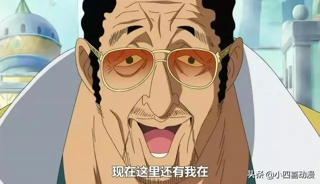 嚴格意義上和青雉實力相當的有四人,一人替補青雉,一人趕走青雉