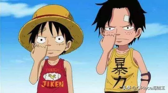 細數海賊王記憶深處的那些人物,僅僅數次出場就收穫超高人氣!