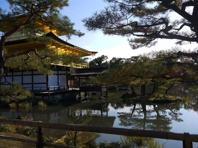 去日本玩,照著這個方法買日本航空的機票,比廉價航空還便宜?!