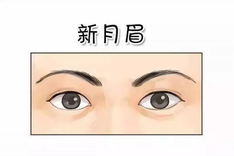 眉毛不要亂修,眉毛預示吉凶,你的眉毛長什麼樣,你的一生就是什麼樣 !