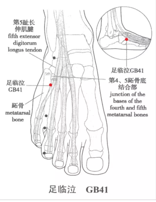 為什麼有同名穴?相互之間有何聯繫?