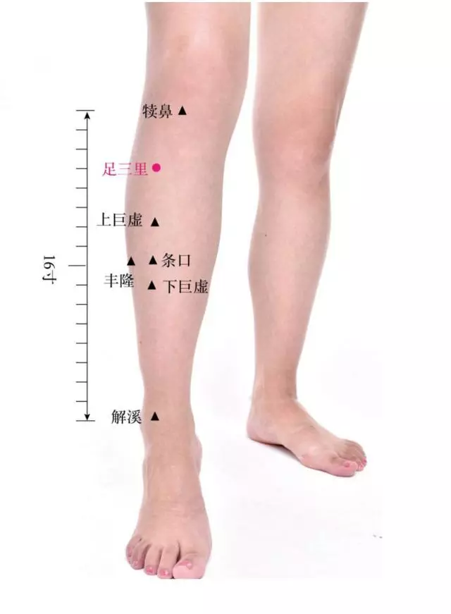 為什麼有同名穴?相互之間有何聯繫?
