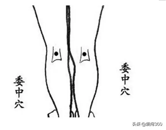 小腿腫了不著急,3個穴位助你消腫,促進血液循環溫中補氣