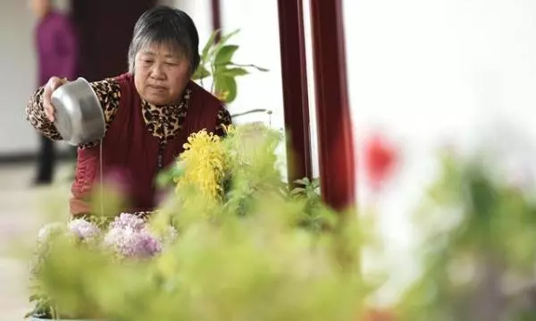 我媽要30萬彩禮,50歲不到說要到我家養老,我兩句話嚇得她不敢來