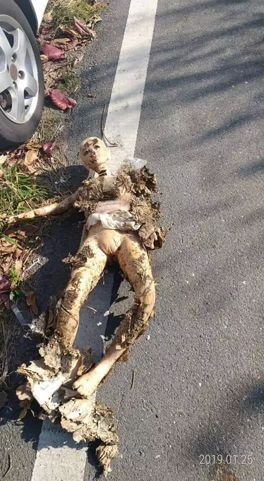 替代役兄弟打掃街道,竟在落葉堆裡發現駭人的第一現場…社員:嚇死人!!