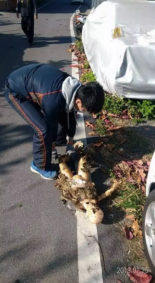 替代役兄弟打掃街道,竟在落葉堆裡發現駭人的第一現場…社員:嚇死人!!