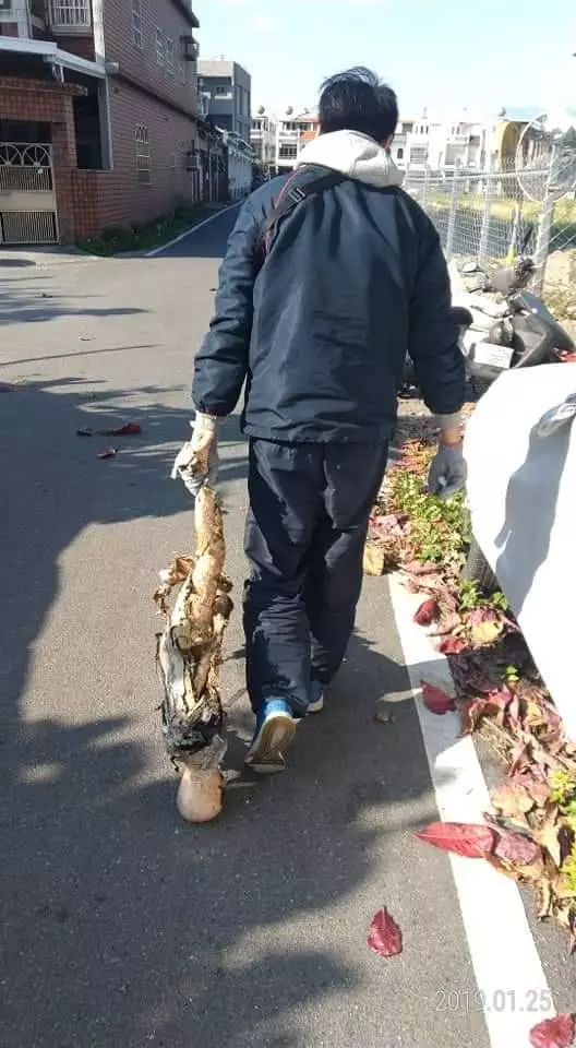 替代役兄弟打掃街道,竟在落葉堆裡發現駭人的第一現場…社員:嚇死人!!