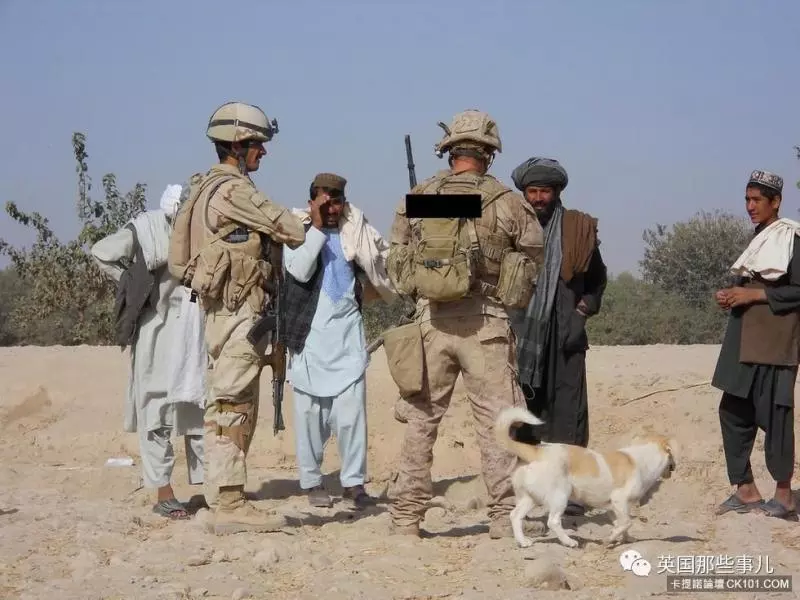 士兵在戰場上丟了幾塊牛肉乾給一隻孤僻的流浪狗…沒想到竟從此改變了他的生活!