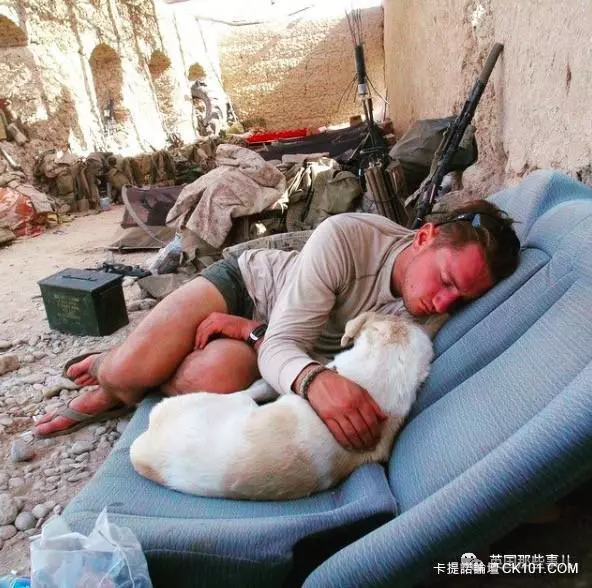 士兵在戰場上丟了幾塊牛肉乾給一隻孤僻的流浪狗…沒想到竟從此改變了他的生活!
