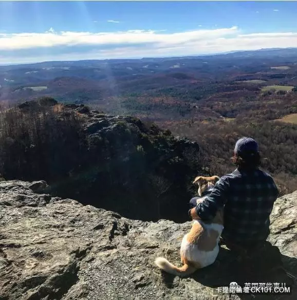 士兵在戰場上丟了幾塊牛肉乾給一隻孤僻的流浪狗…沒想到竟從此改變了他的生活!