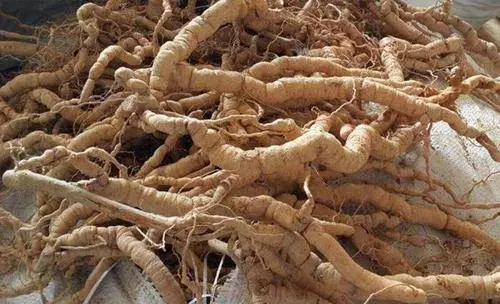 冰箱不能放的3種食材,卻有很多人都還不知道,看完就轉告家人吧 !
