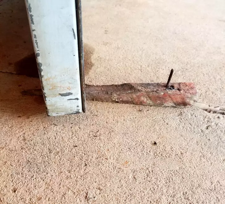 24張看完只剩尷尬沉默的「詭異畫面」 當你搭著充氣船卻被鯊魚啃咬的當下...