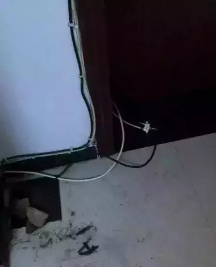 哈士奇拆家將電線咬斷,結果被電暈了