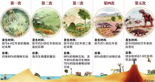 5大「地球生物滅.絕」時間軸計算 專家提慎重通知:第6次就快要來了!