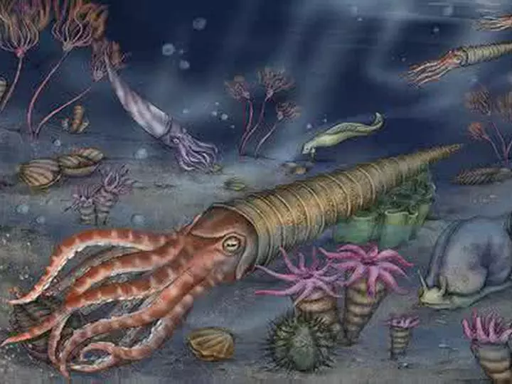 5大「地球生物滅.絕」時間軸計算 專家提慎重通知:第6次就快要來了!