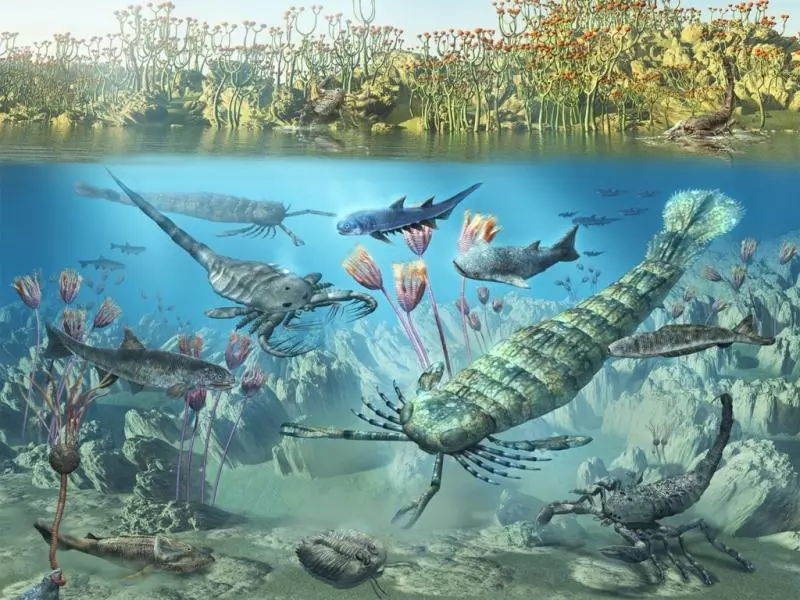 5大「地球生物滅.絕」時間軸計算 專家提慎重通知:第6次就快要來了!