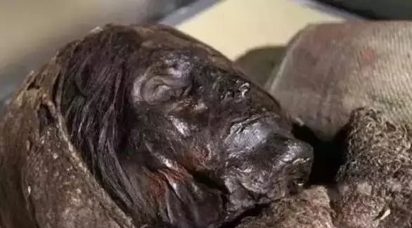 在沙漠中獨自沉睡3800年 消失西域「樓蘭姑娘」現形...裹.屍布風吹成沙頭髮卻保存完好!