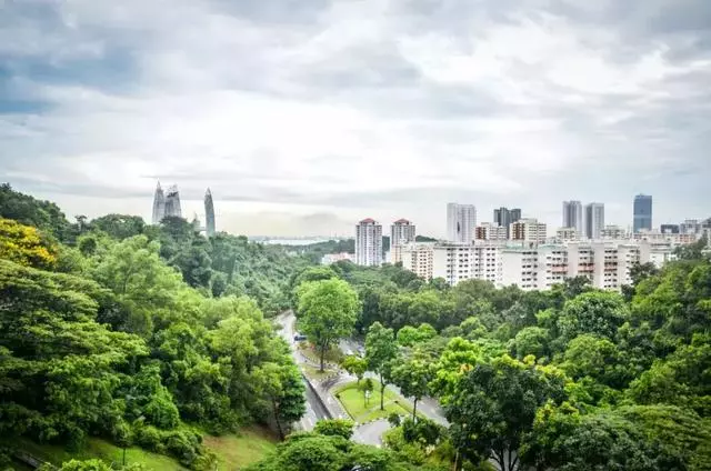 全世界人口密度最高的獅城 如何做到不擠不堵還人人有房的?