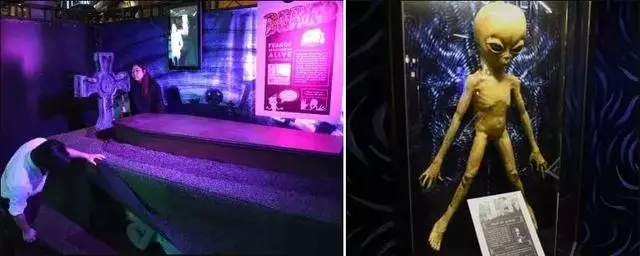 過去一年新加坡新開的娛樂項目 這些你都去過了嗎?