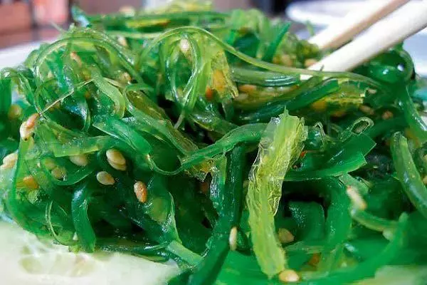 愛吃日本菜的請注意!原來壽司紫菜隱藏了這些危險!
