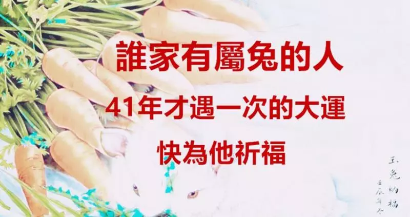 誰家有屬兔的人,41年才遇一次的大運,快為他祈福
