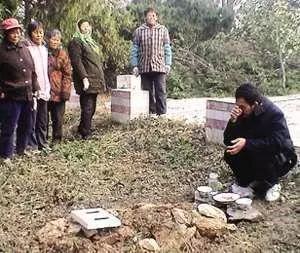 男子遭遇車禍,流浪狗捨命救主,男子淚奔:我只給它吃了幾餐飯……