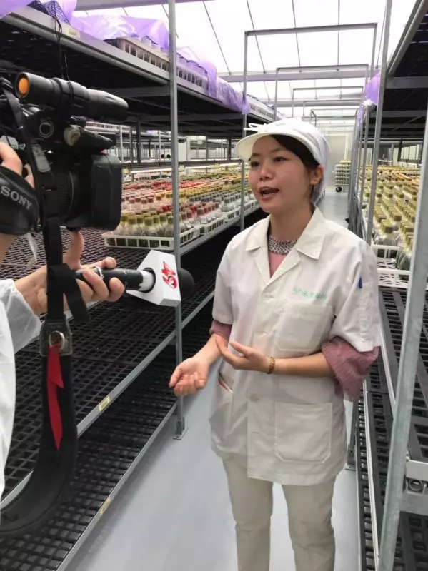 老闆在尾牙突然塞「150萬車鑰匙」,16年女員工淚崩:都給我3個月年終了