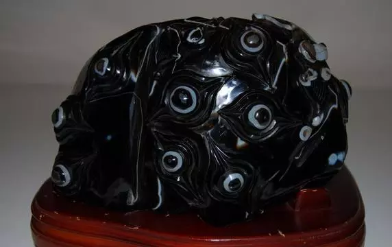 男子撿回一塊布滿眼睛的怪石,專家一看樂壞了