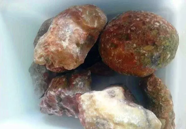 男子撿回一塊布滿眼睛的怪石,專家一看樂壞了
