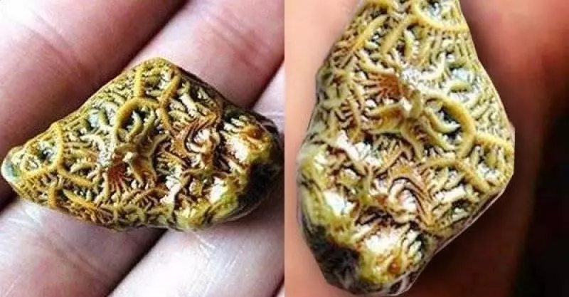 女子撿到一塊金黃色的石頭,天天掛在脖子上,老人看見後愣住了