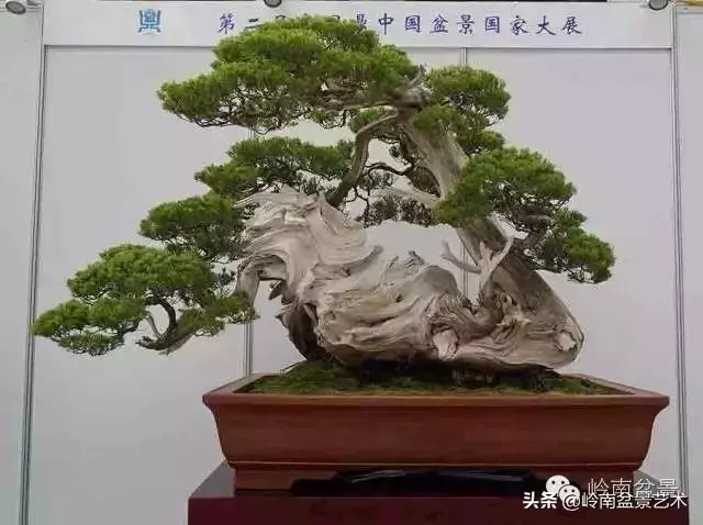 要霸氣側露,玩好根盤是關鍵!