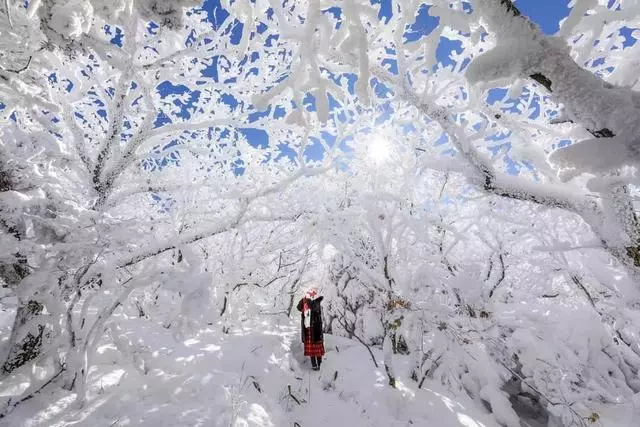 35張大片、35種風格,這些雪景美照我看了10遍!收藏!