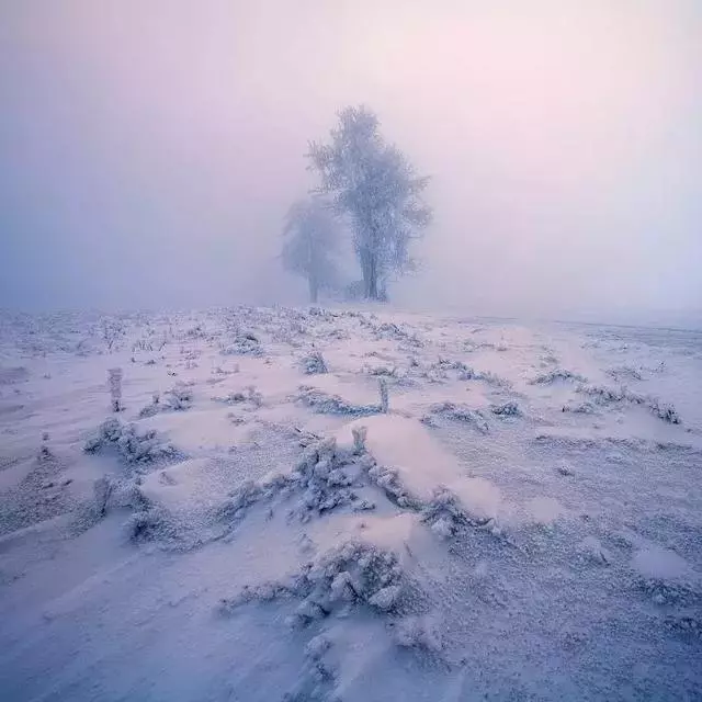35張大片、35種風格,這些雪景美照我看了10遍!收藏!