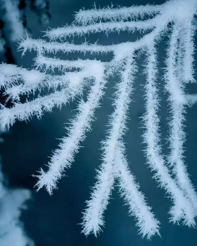 35張大片、35種風格,這些雪景美照我看了10遍!收藏!