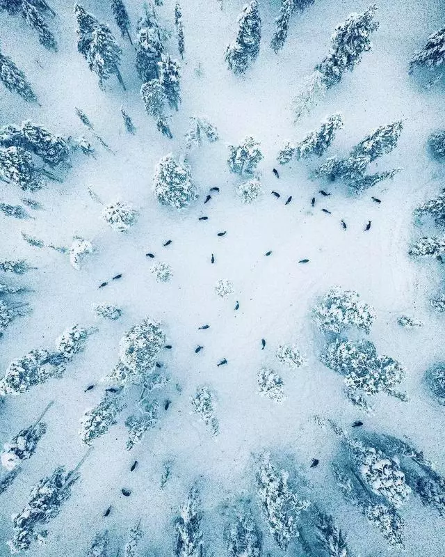 35張大片、35種風格,這些雪景美照我看了10遍!收藏!